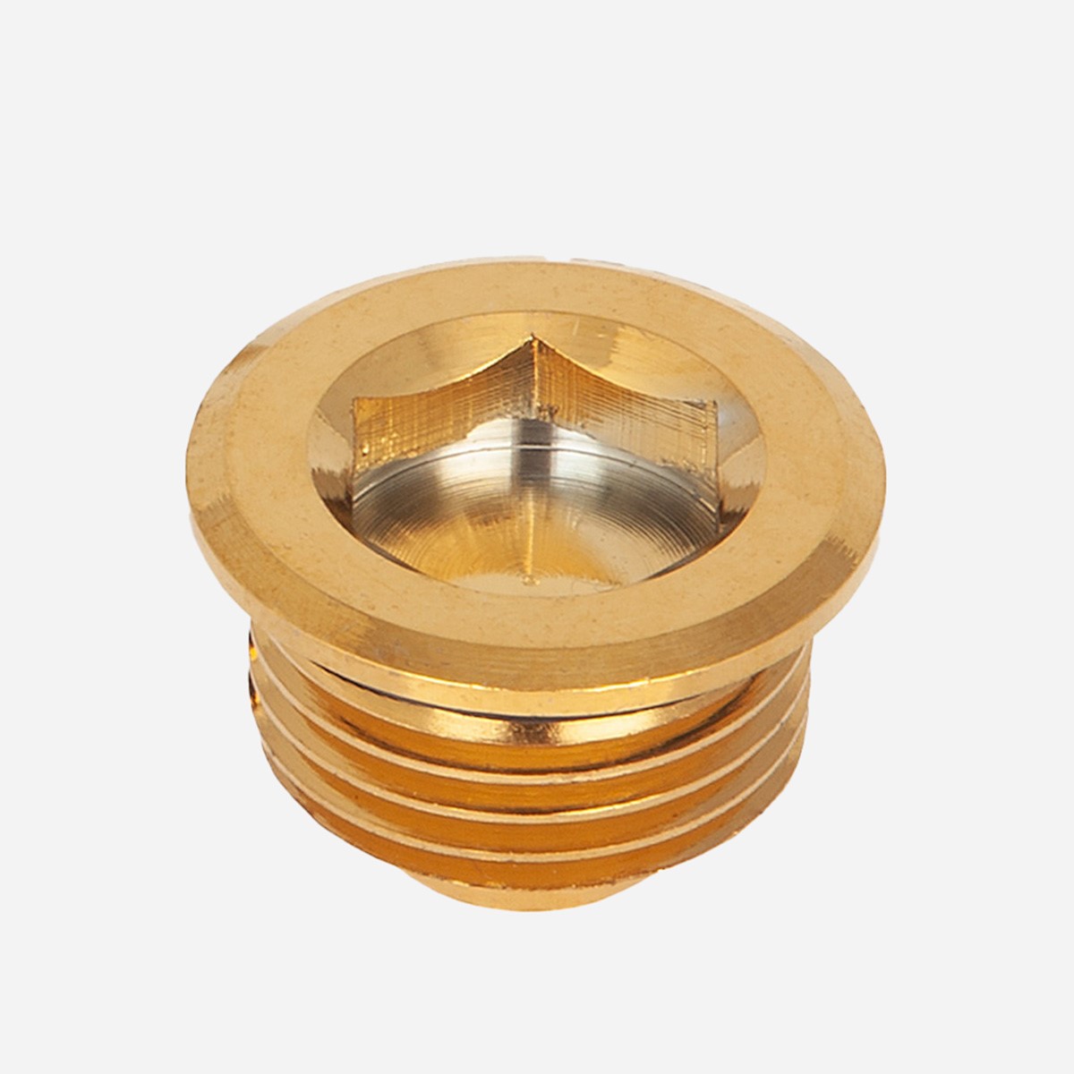 BVA2 Blanking Plug Pair - Polished Brass