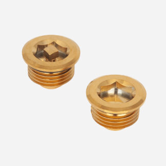 BVA1 & 2 Bleed Valve & Blanking Plug Pair - Polished Brass